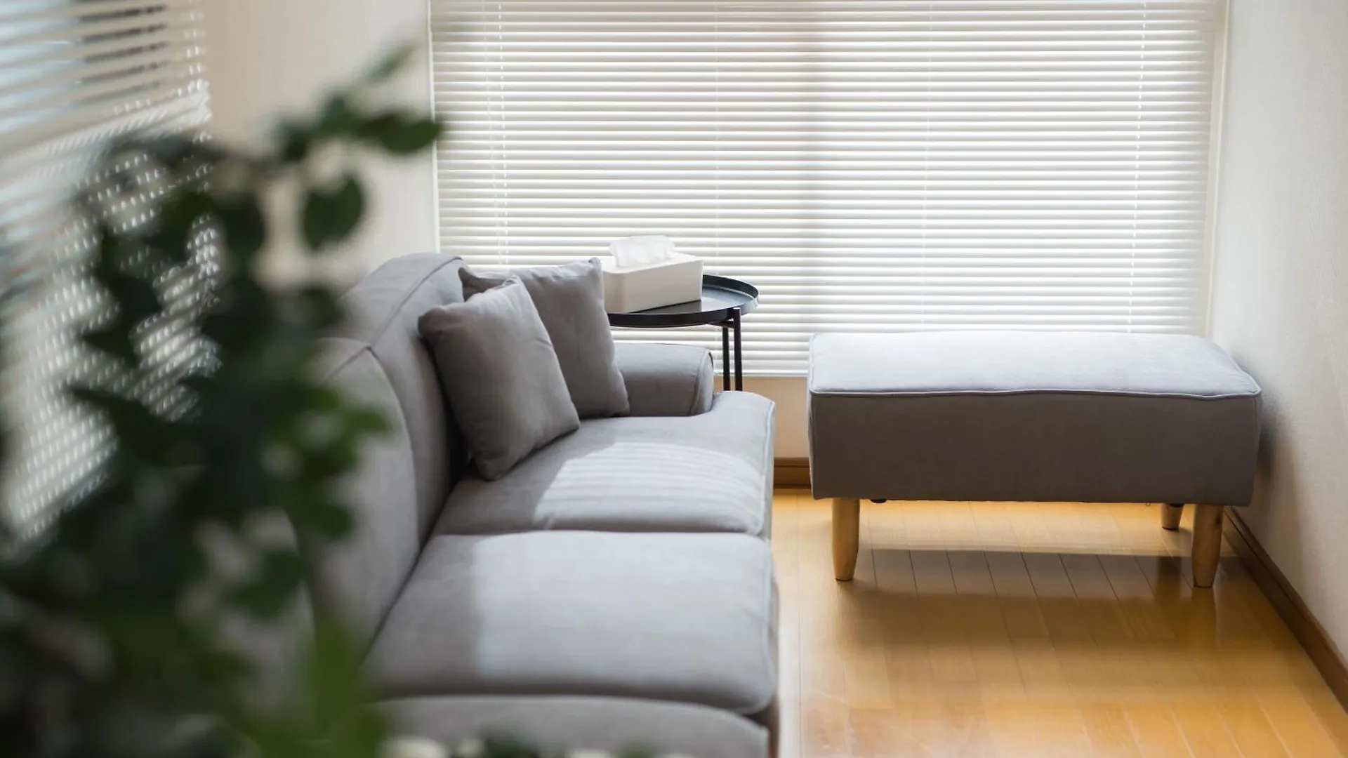 Hiragishi 614 Villa Sapporo Holiday home